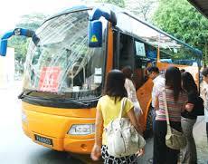 bus