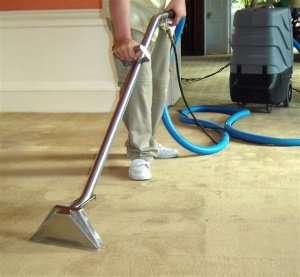 carpet cleaning
