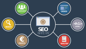 seo service