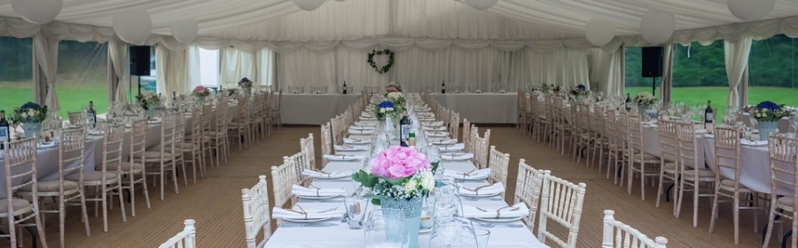 wedding party